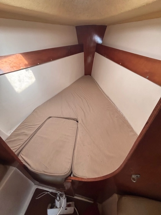 Astraea 260 cruising de segunda mano en venta