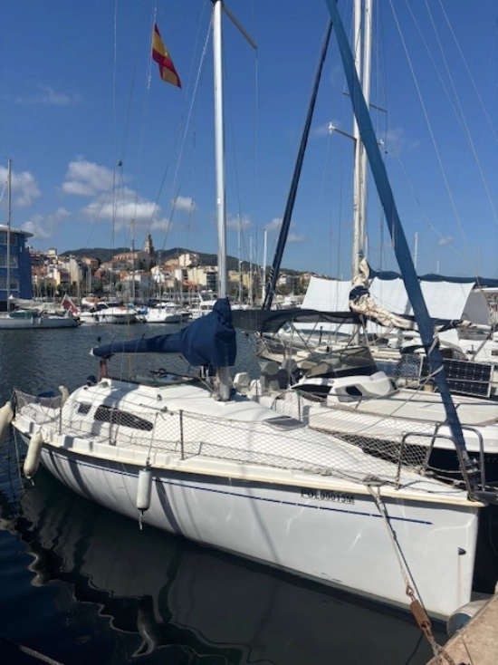 Astraea 260 cruising de segunda mano en venta