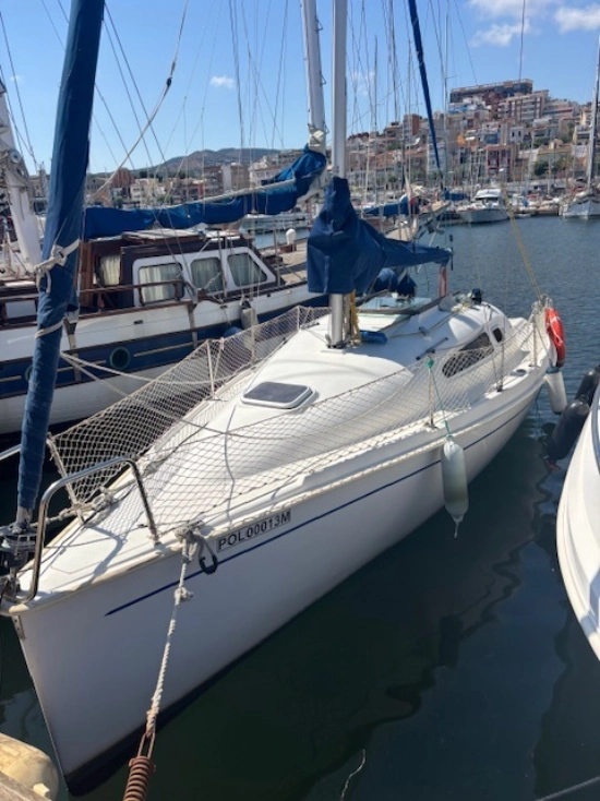 Astraea 260 cruising de segunda mano en venta