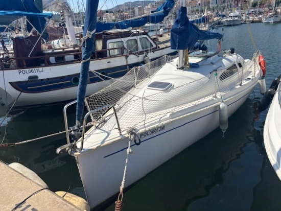 Astraea 260 cruising de segunda mano en venta