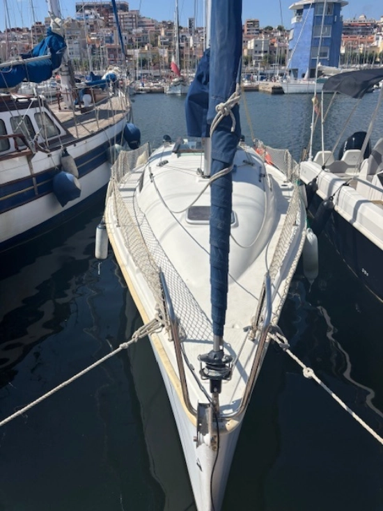 Astraea 260 cruising de segunda mano en venta