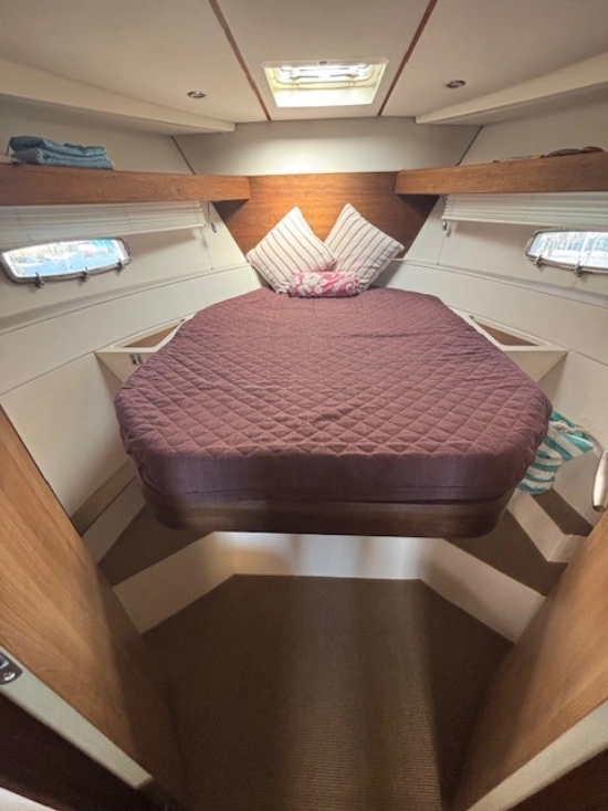 Sealine SC35 usata in vendita