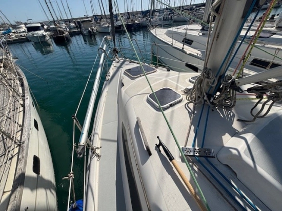 Hunter LEGEND 290 usata in vendita