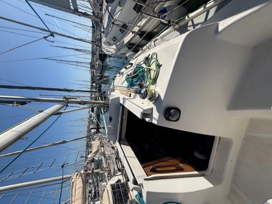 Hunter LEGEND 290 usata in vendita