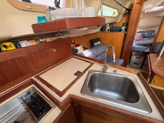 Hunter LEGEND 290 usata in vendita