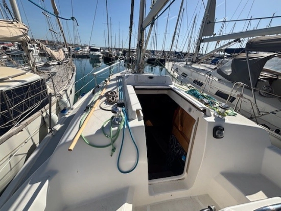 Hunter LEGEND 290 usata in vendita