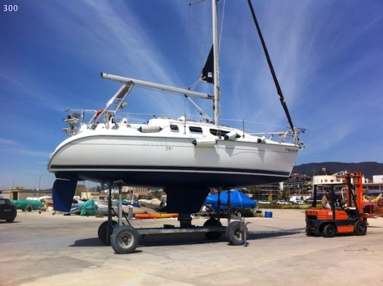 Hunter LEGEND 290 usata in vendita