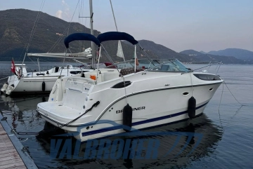 Bayliner 245 usata in vendita