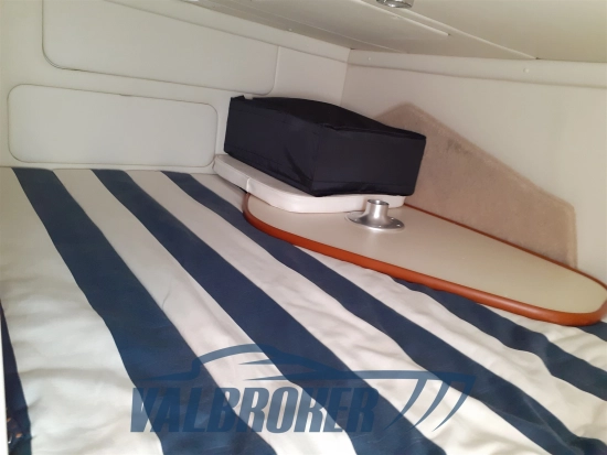 Bayliner 245 usata in vendita