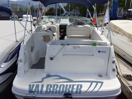 Bayliner 245 usata in vendita