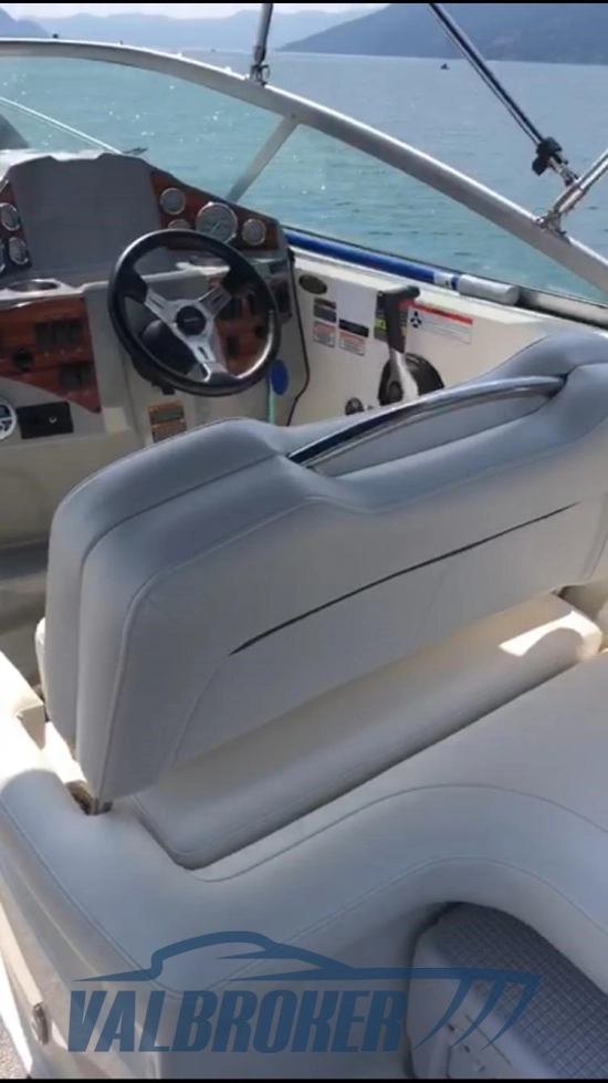 Bayliner 245 usata in vendita