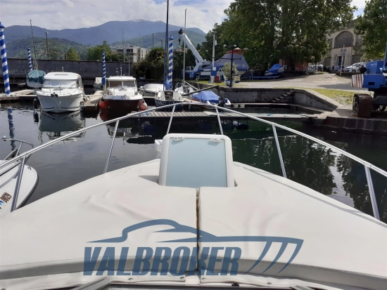 Bayliner 245 usata in vendita
