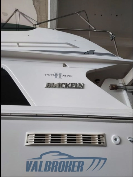 Blackfin 29 usado à venda