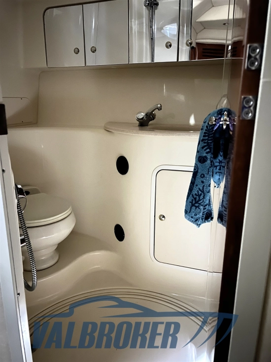 Sea Ray Sundancer 395 DA de segunda mano en venta