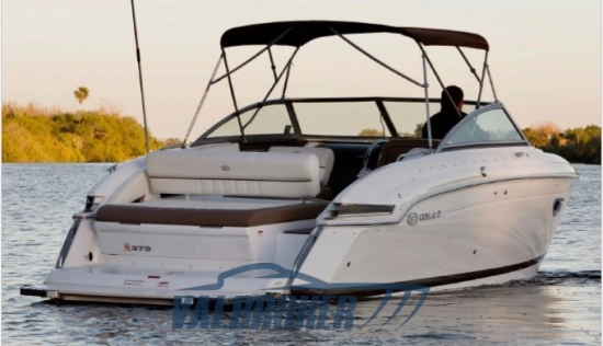 Cobalt 273 CUDDY usata in vendita