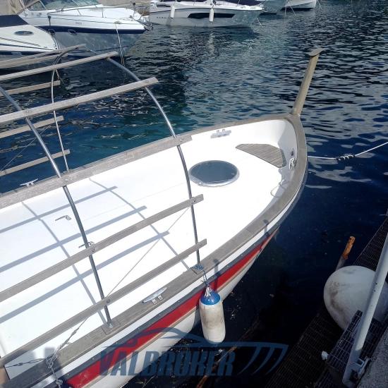 Baciccia GOZZO de segunda mano en venta
