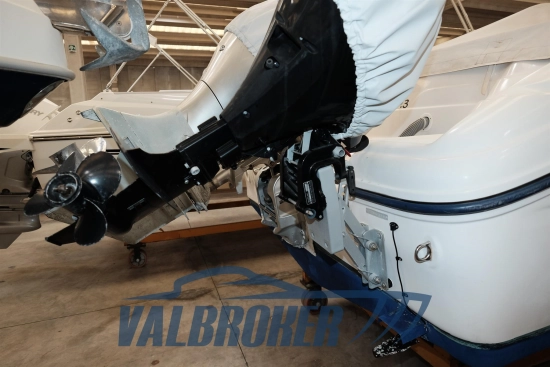 Ranieri Cantiere Sea Lady 23 de segunda mano en venta