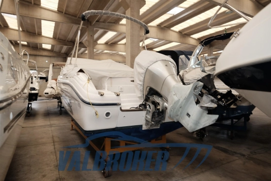 Ranieri Cantiere Sea Lady 23 de segunda mano en venta