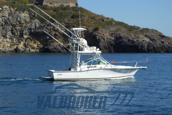 Carolina Classic CLASSIC 28 de segunda mano en venta