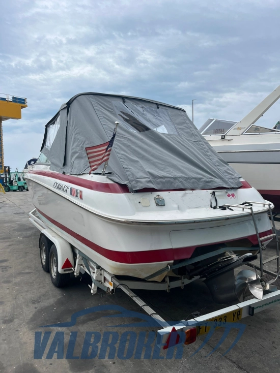 Cobalt 253 usata in vendita