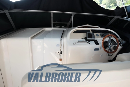 Sea Ray Sundancer 310 de segunda mano en venta
