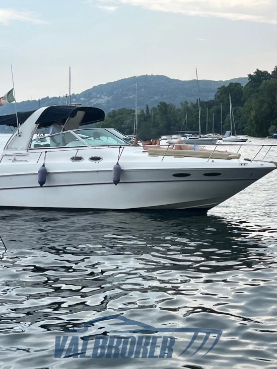 Sea Ray Sundancer 310 de segunda mano en venta