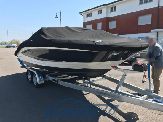Sea Ray SPX 190 usado à venda