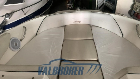 Sea Ray SPX 190 usado à venda