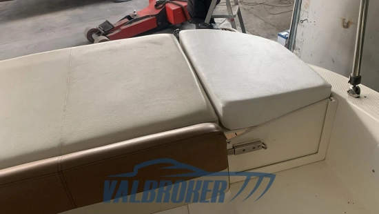 Sea Ray SPX 190 usado à venda