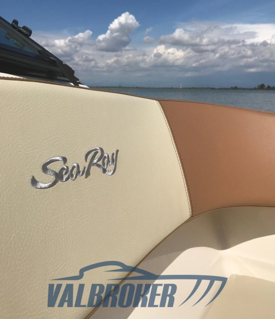 Sea Ray SPX 190 usado à venda