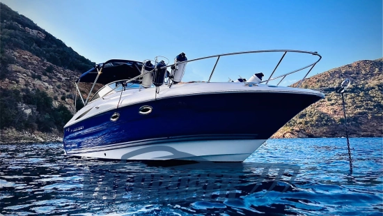 Monterey 250 Cruiser usata in vendita