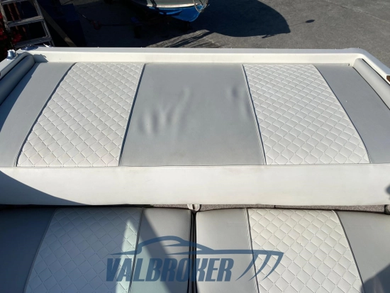 Sea Ray 200 SR usata in vendita