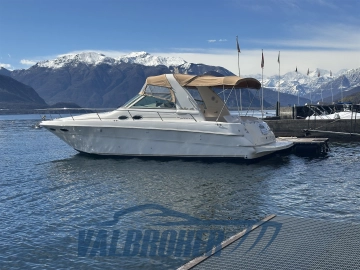 Sea Ray Sundancer 310 usata in vendita