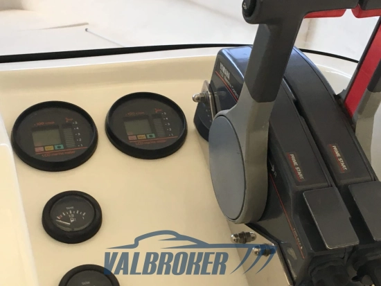 Bazzerla Fl 765 usata in vendita