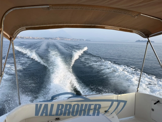 Sea Ray Sundancer 310 de segunda mano en venta