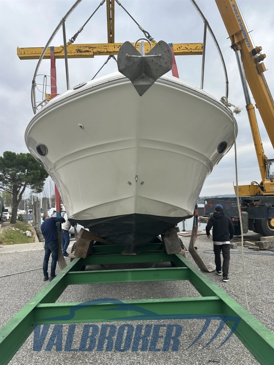 Sea Ray Sundancer 310 de segunda mano en venta