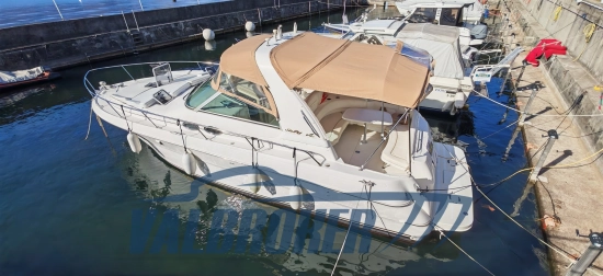 Sea Ray Sundancer 310 de segunda mano en venta