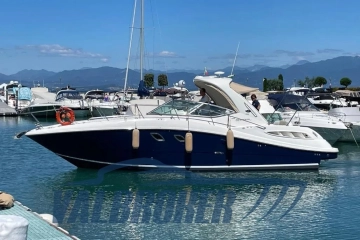 Sea Ray Sundancer 355 DA usata in vendita