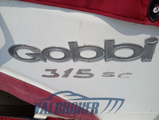 Gobbi 315 SC de segunda mano en venta