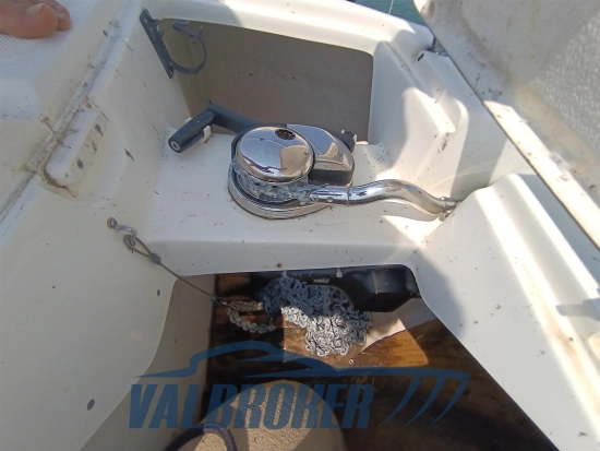 Gobbi 315 SC de segunda mano en venta