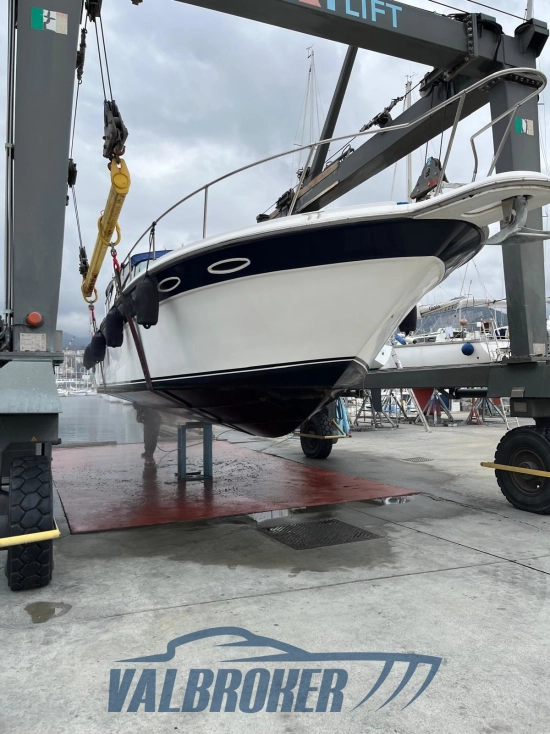 Sea Ray Sundancer 370 de segunda mano en venta