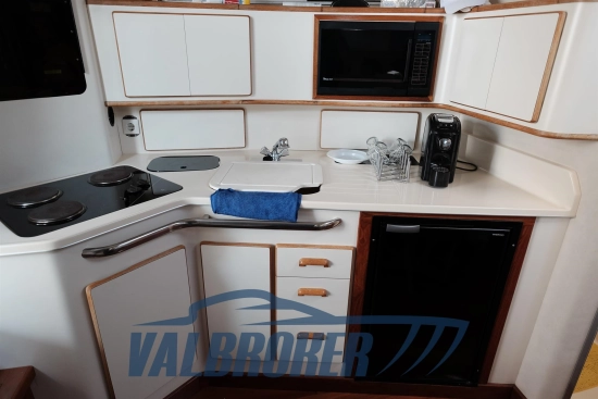 Sea Ray Sundancer 370 de segunda mano en venta