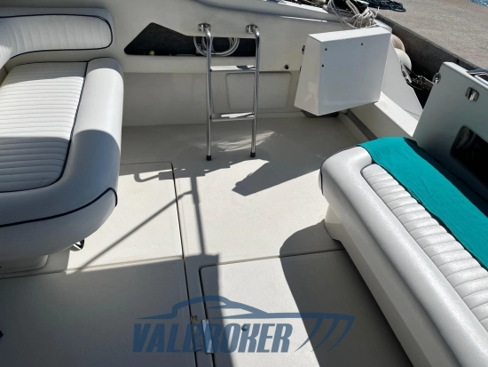 Sea Ray Sundancer 370 de segunda mano en venta