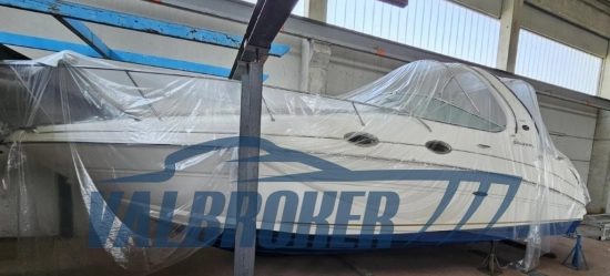 Sea Ray Sundancer 315 usado à venda