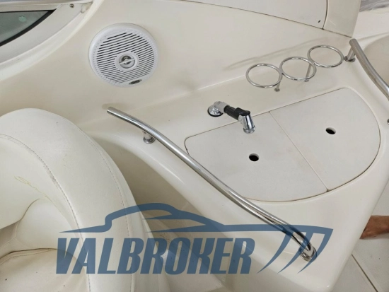 Sea Ray Sundancer 315 usado à venda
