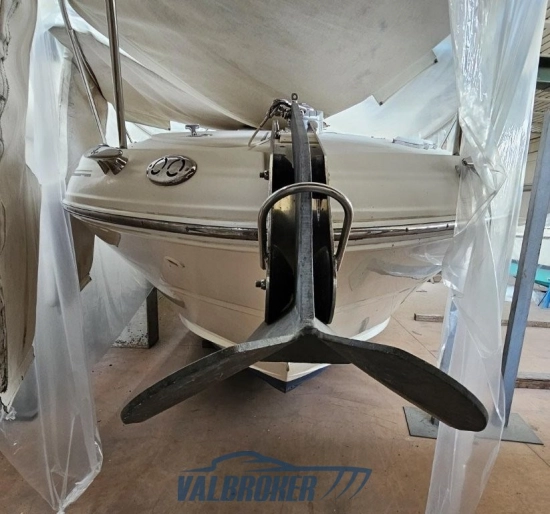 Sea Ray Sundancer 315 usado à venda