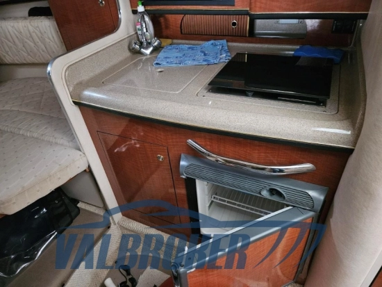 Sea Ray Sundancer 315 usado à venda