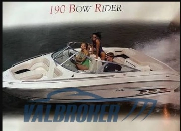 Sea Ray 190 BR usata in vendita