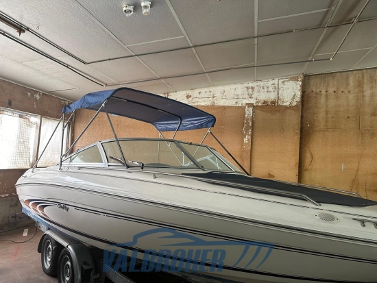 Sea Ray 190 BR de segunda mano en venta