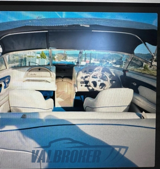 Sea Ray 190 BR de segunda mano en venta